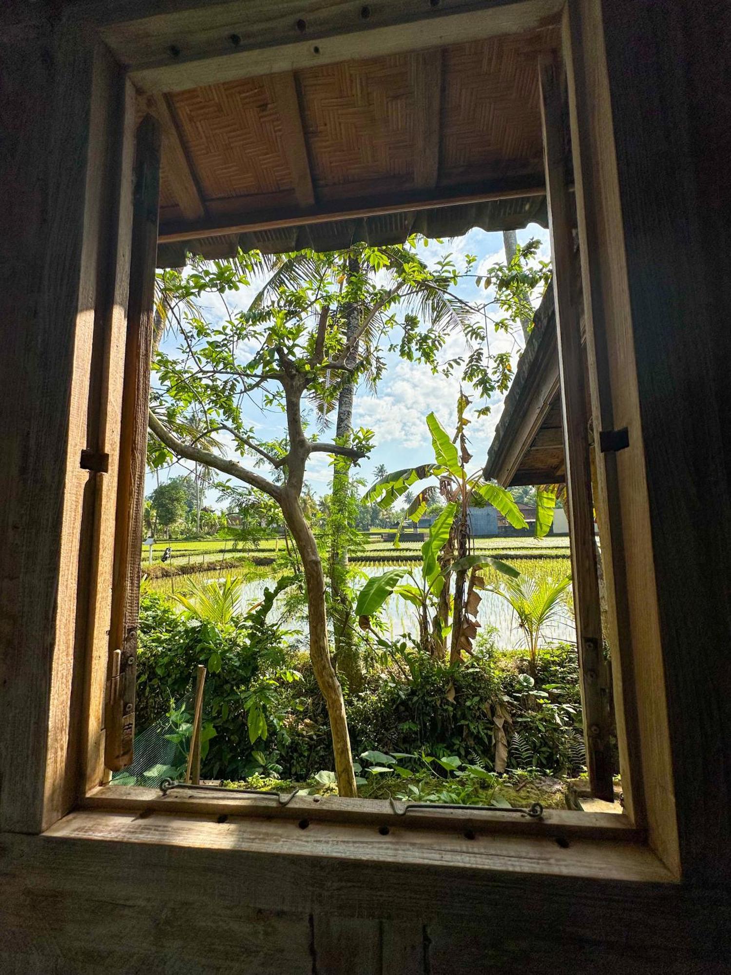 Nunu Bali Eco Friendly Retreat Hotel Canggu  Exterior photo